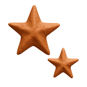 Terracotta Stars on White